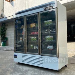 Tủ đông đứng mặt kính 3 cánh Kenshin KS-3K1750F